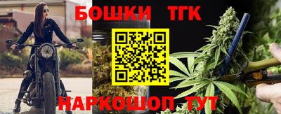 индика Шелехов