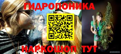 a pvp Шебекино