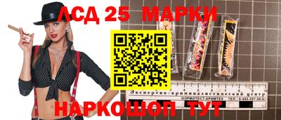 индика Шелехов