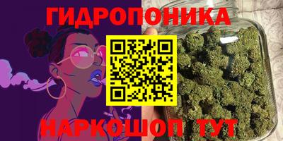 индика Шелехов