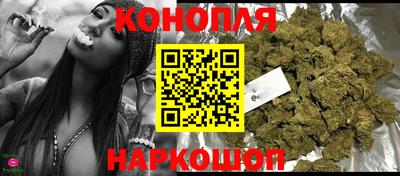 индика Шелехов