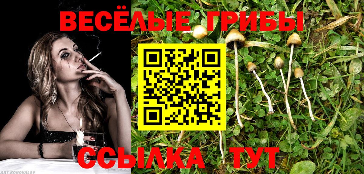 Волжск  Псилоцибиновые грибы GOLDEN TEACHER  Вход с VPN 