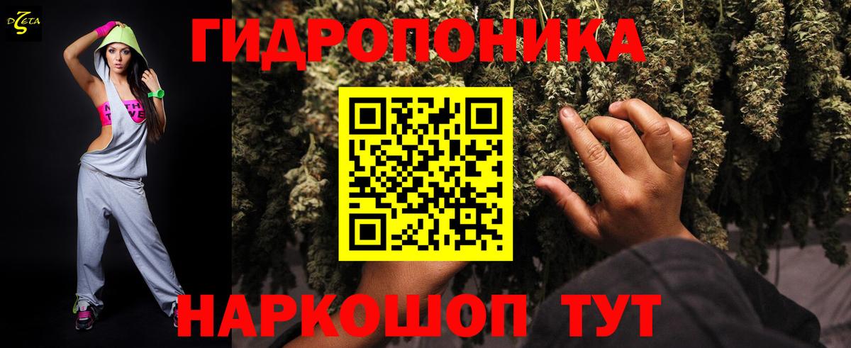 Волжск  Канабис план  Бошки марихуана SATIVA & INDICA  Конопля гибрид  Вход с VPN  Бошки марихуана конопля 
